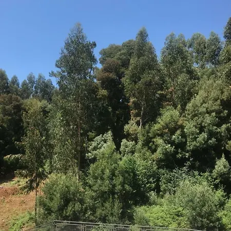 Lägenhet Trebol Sanxenxo