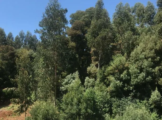 Διαμέρισμα Trebol Sanxenxo